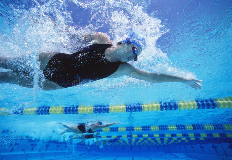 Professionele vrouwelijke zwemmers die in pool zwemmen stock afbeelding Professionele vrouwelijke zwemmers die in pool zwemmen stock afbeelding