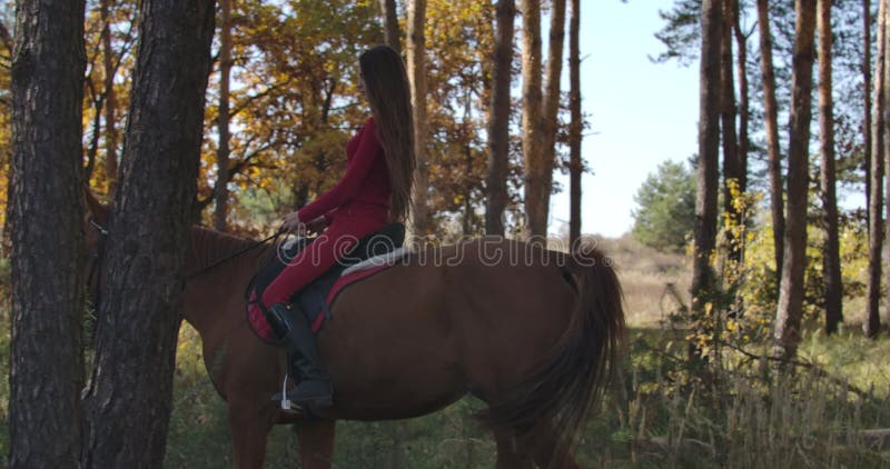 Garota No Capacete Sentada No Cavalo Cinza Atrás E Pulando Sobre