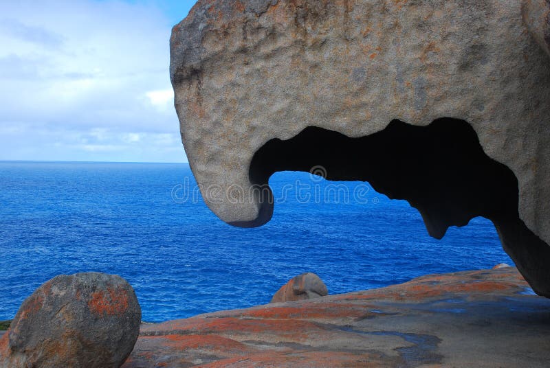 Elephant Profile of one of The Remarkables