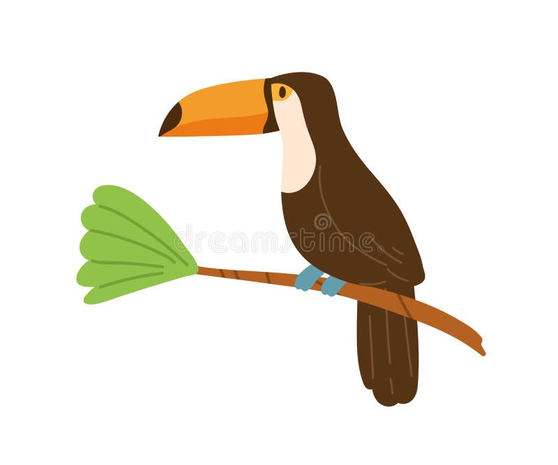 Profil des freundlichen Tukans oder des tucan Sitzung auf Baumast. witziger tropischer Vogel mit dem langen gelben Schnabel. exoti