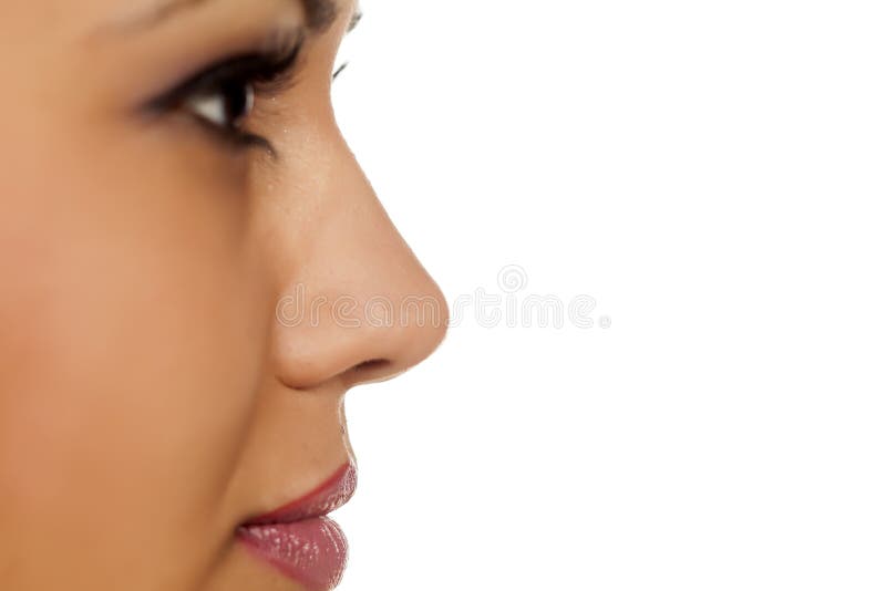 Profile of a female nose royalty free stock photo Profile of a female nose royalty free stock photo
