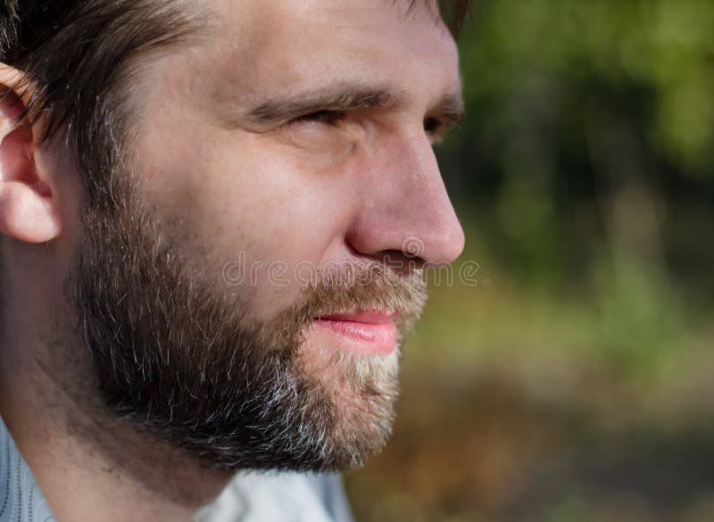 Profile of a young man stock photo. Image of portrait 27823294
