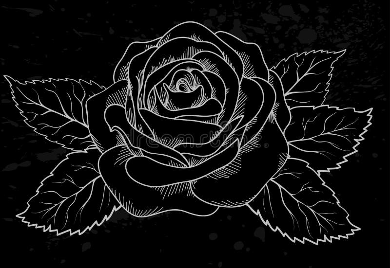 Profilo della rosa di bianco con i punti grigi su una parte posteriore del nero