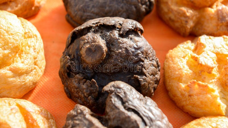 Profiterole de los soplos poner crema aka imagen de archivo Profiterole de los soplos poner crema aka imagen de archivo