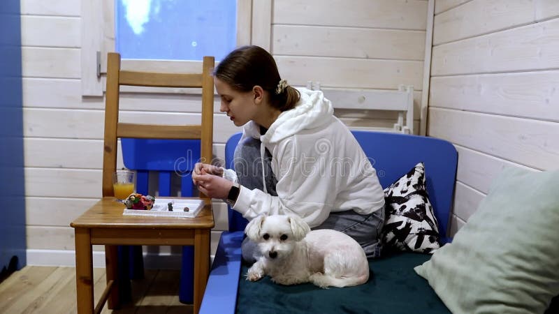 Profitez d'une collation douillette avec un chien mignon dans un cadre intérieur charmant banque de vidéos