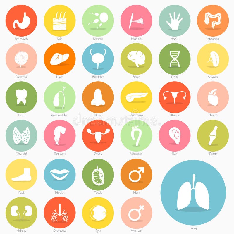 Progettazione dell'ombra di short dell'icona del corpo royalty illustrazione gratis Progettazione dell'ombra di short dell'icona del corpo royalty illustrazione gratis