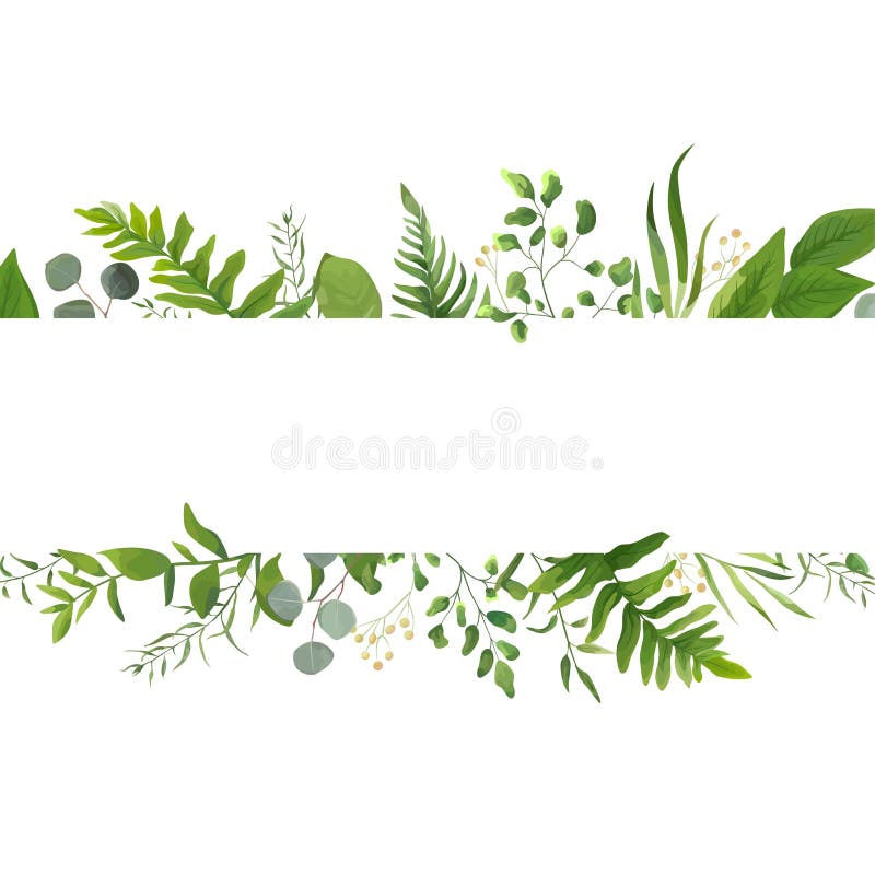 Progettazione di carta floreale della pianta di vettore: Eucalyptus della fronda della felce della foresta Progettazione di carta floreale della pianta di vettore: Eucalyptus della fronda della felce della foresta