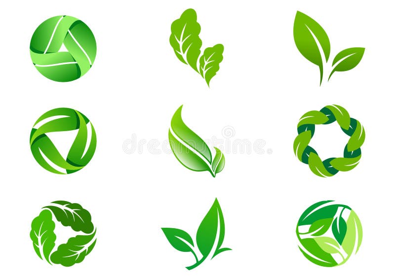 Progettazione ed icona verdi di logo di vettore della foglia