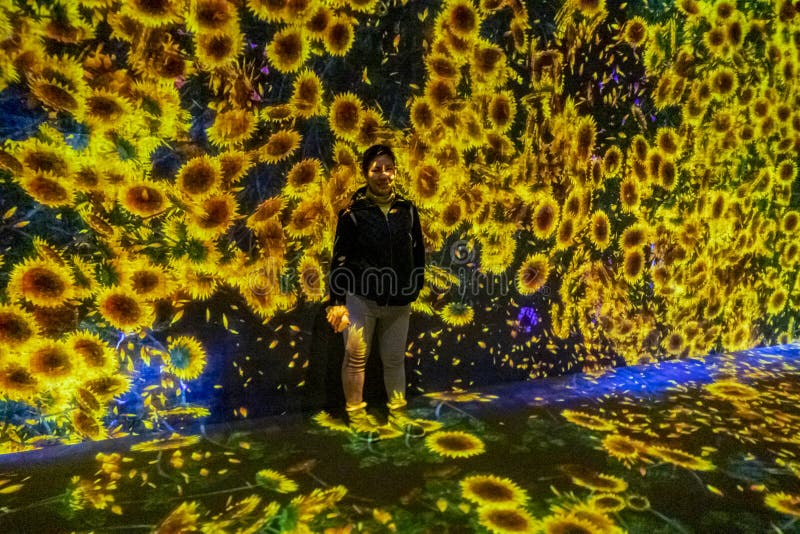 Projector and Freflecting Light Effect Art at TeamLab Borderless
