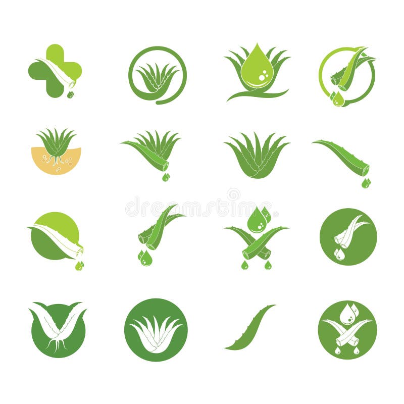 Projekt ilustracji wektora ikony logo aloevera. Szablon projektu ilustracji wektora ikony logo aloevera