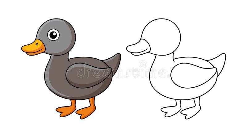 Projekt Vivid Comb Duck Bird ilustracja wektor