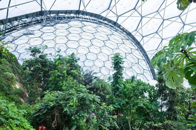 Projet d'Éden - à l'intérieur du biome tropical photographie stock libre de droits Projet d'Éden - à l'intérieur du biome tropical photographie stock libre de droits