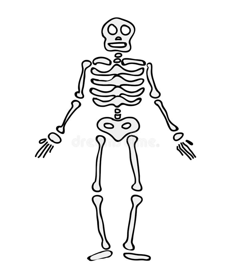 Festa Da Noite Das Bruxas Com Bruxas Engraçadas E Esqueletos. Ilustração do  Vetor - Ilustração de vetor, esqueletos: 257718122