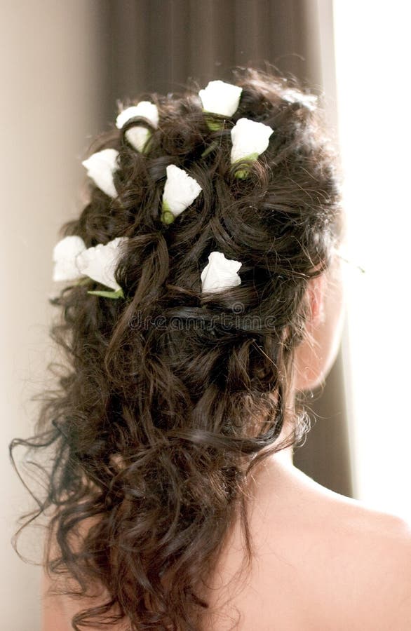 Download Projeto nupcial do cabelo foto de stock. Imagem de expectativa - 64220