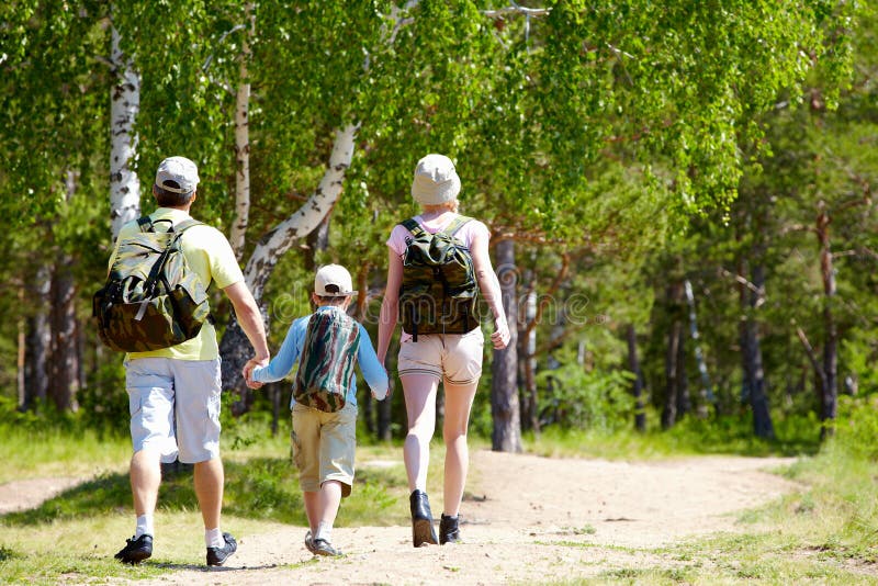 Promenade d'été photographie stock