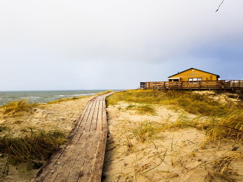 Promenade in Kaliningrad. Curonian Spit near Baltic Sea. Curonian Spit, Kaliningrad. Green grass. Beautiful sunlight. Promenade near Baltic Sea royalty free stock photography Promenade in Kaliningrad. Curonian Spit near Baltic Sea. Curonian Spit, Kaliningrad. Green grass. Beautiful sunlight. Promenade near Baltic Sea royalty free stock photography