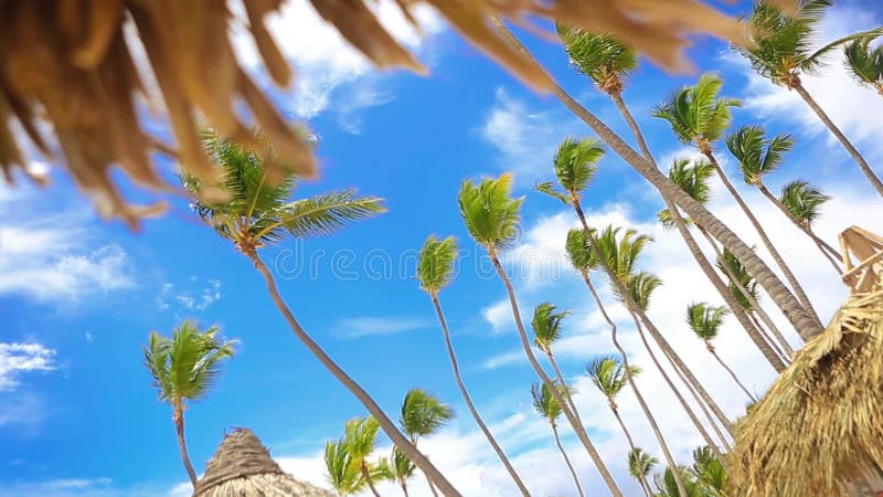 Promenade sur la plage de luxe