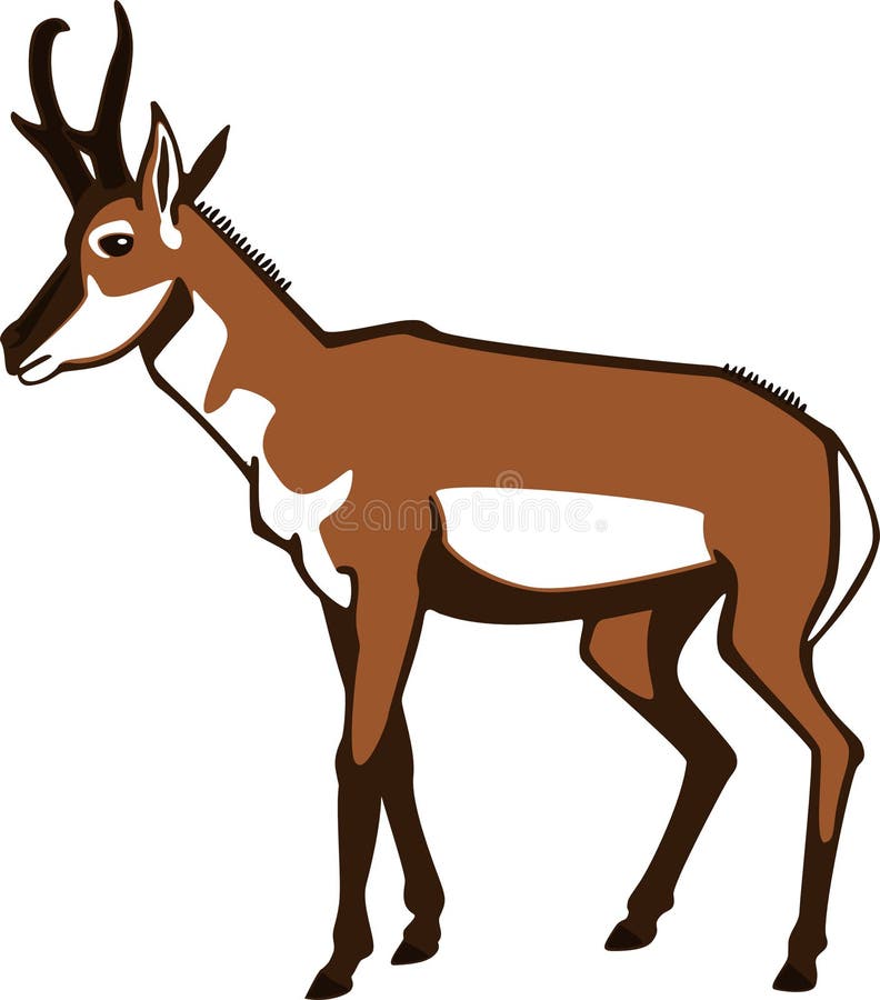 Pronghorn Antelope Stock Illustrations – 194 Pronghorn Antelope Stock