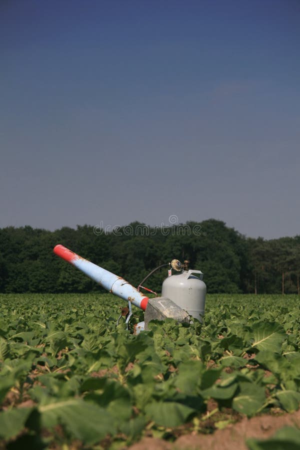 Propane cannon in a field with young crops