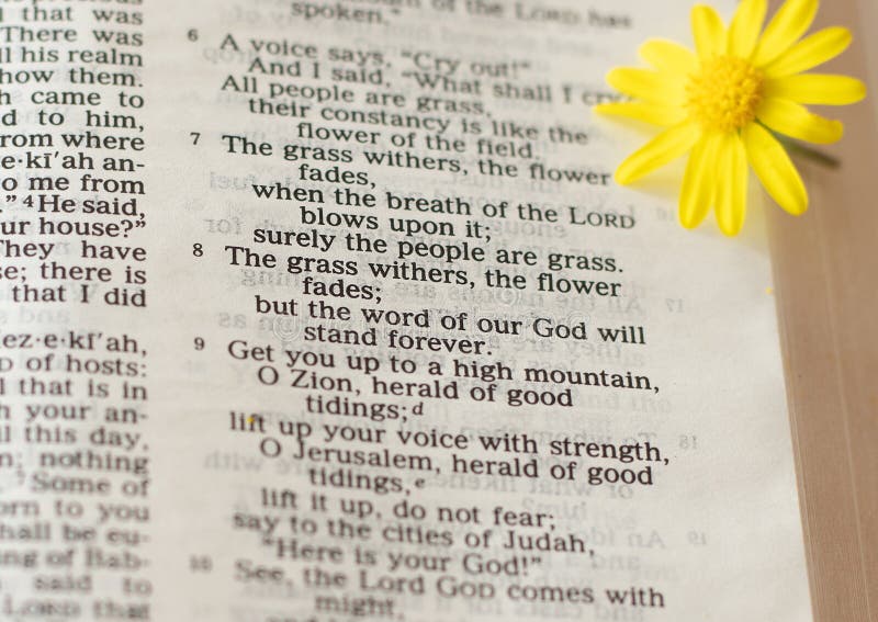 Prophet Isaiah 40:8 chapter verse. The grass withers the flower fades but the Word of our God stands forever