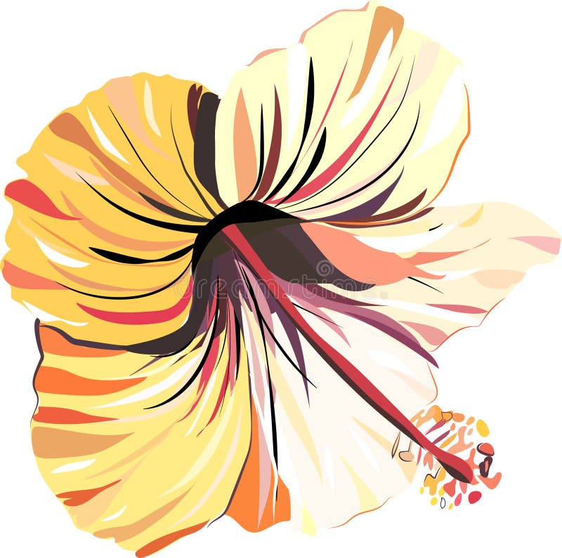 A proposta bonita brilhante sofisticou o hibiscus cor-de-rosa e amarelo tropico i sem emenda da luz do verão floral tropical boni ilustração do vetor A proposta bonita brilhante sofisticou o hibiscus cor-de-rosa e amarelo tropico i sem emenda da luz do verão floral tropical boni ilustração do vetor