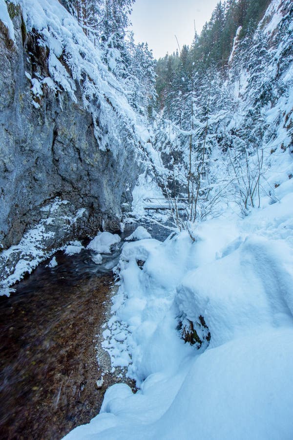 Prosiecka dolina gorge during winter