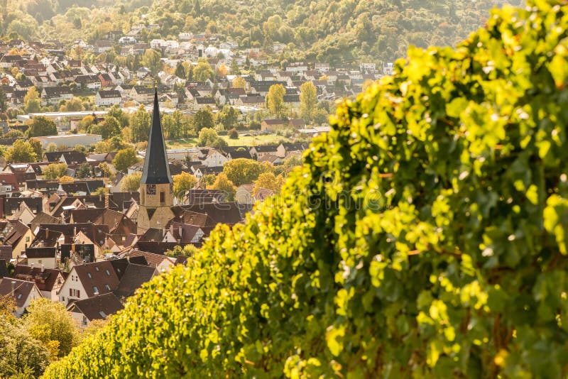 Prospect from a Vineyard at the German Village Geradstetten Stock Image
