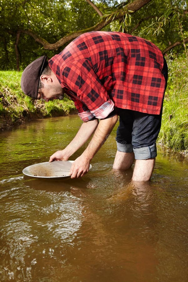 Prospector Panning for Gold in River Stock Photo - Image of prospector ...