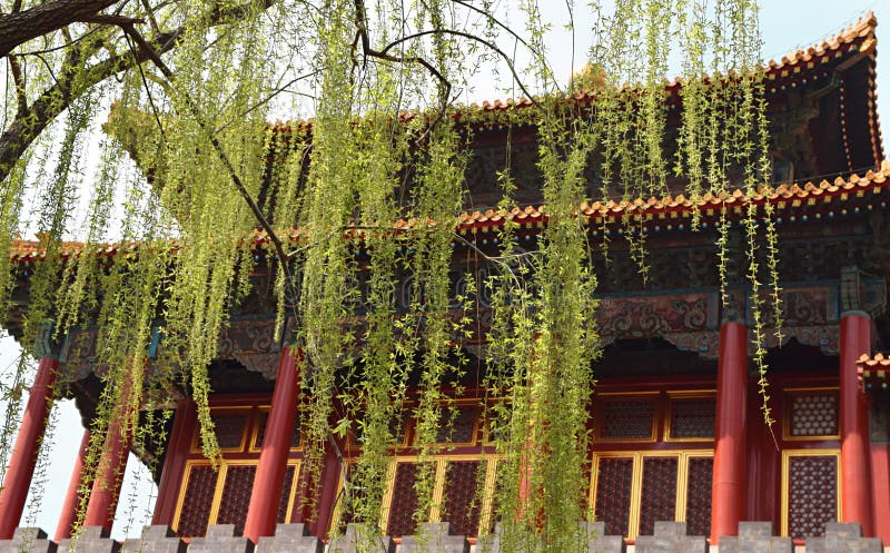 Prospettiva delle mattonelle nella Città proibita a Pechino, Cina fotografia stock Prospettiva delle mattonelle nella Città proibita a Pechino, Cina fotografia stock