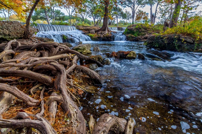 Stunning Wide Angle Perspective of a Tranquil Stream with Beautiful Flowing Waterfalls with Big Cyprus Trees with Brilliant Leaves and Giant Gnarly Roots in the Texas Hill Country. Stunning Wide Angle Perspective of a Tranquil Stream with Beautiful Flowing Waterfalls with Big Cyprus Trees with Brilliant Leaves and Giant Gnarly Roots in the Texas Hill Country.