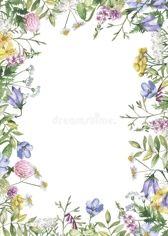 Prostokątna rama z akwareli wildflowers, złoci pluśnięcia, akwareli plamy ilustracja wektor