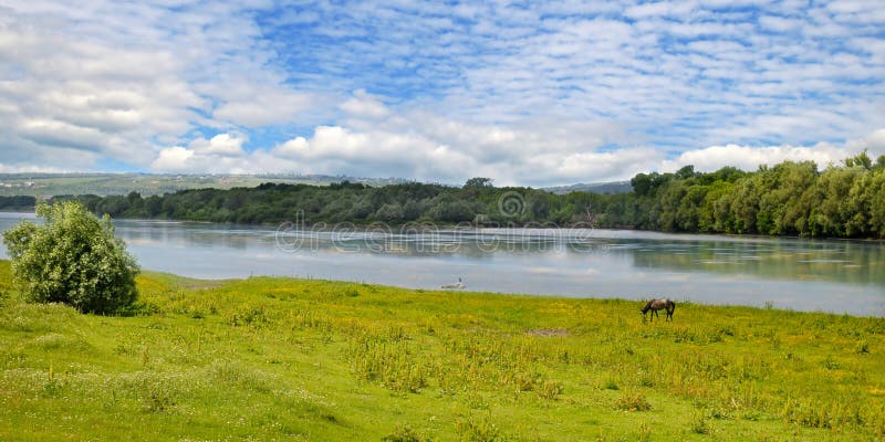 Prosty rzeki, łąki i floodplain las obraz stock