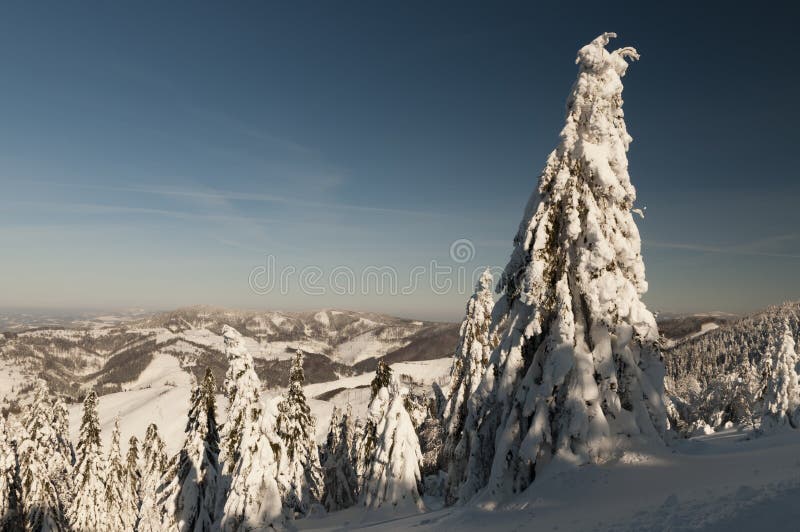 Protected Landscape Area Kysucke Beskydy, Slovakia