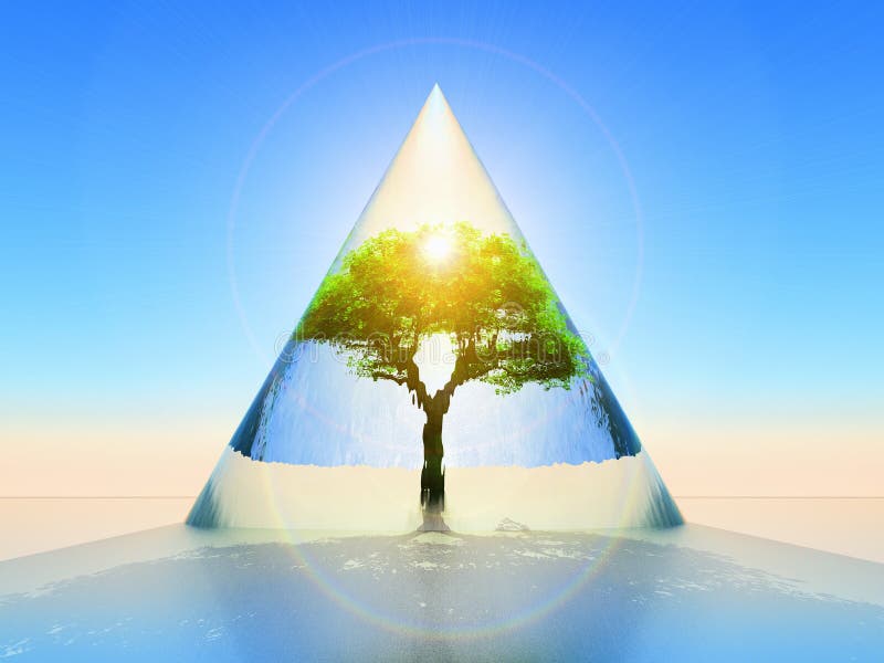 Protected tree vector illustration