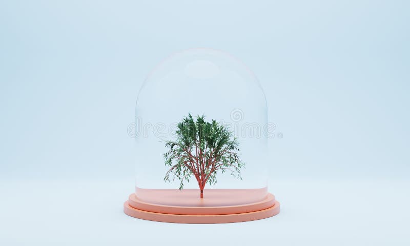 Protected tree in a glass jar on light blue background royalty free illustration