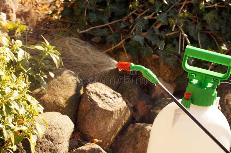 Spraying Plants With Plant Protection Products. Garden Plant Car Stock