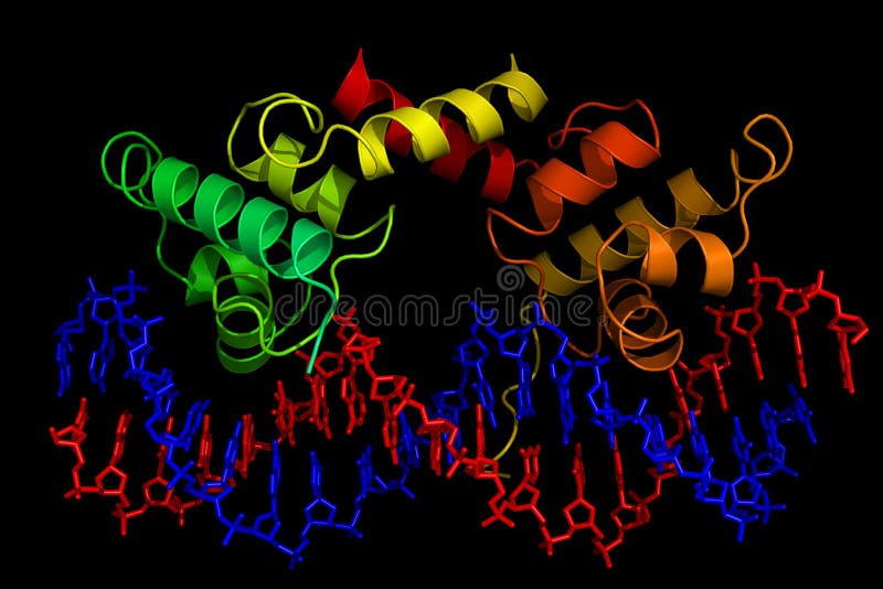 Pictórico desplegado abstracto diseno creado de acuerdo estructura de proteína molécula atado sobre el dos veces espiral.