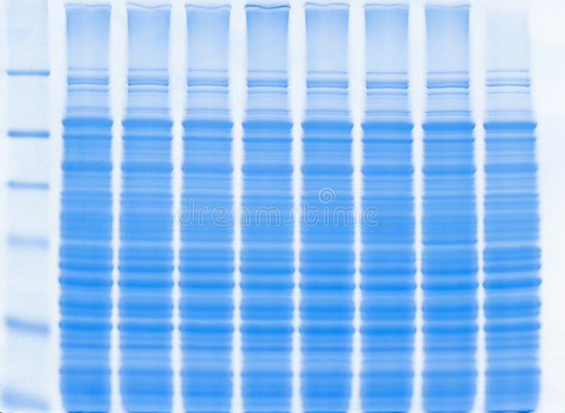 PROTEIN source stock image. Image of seafood, background 30768549