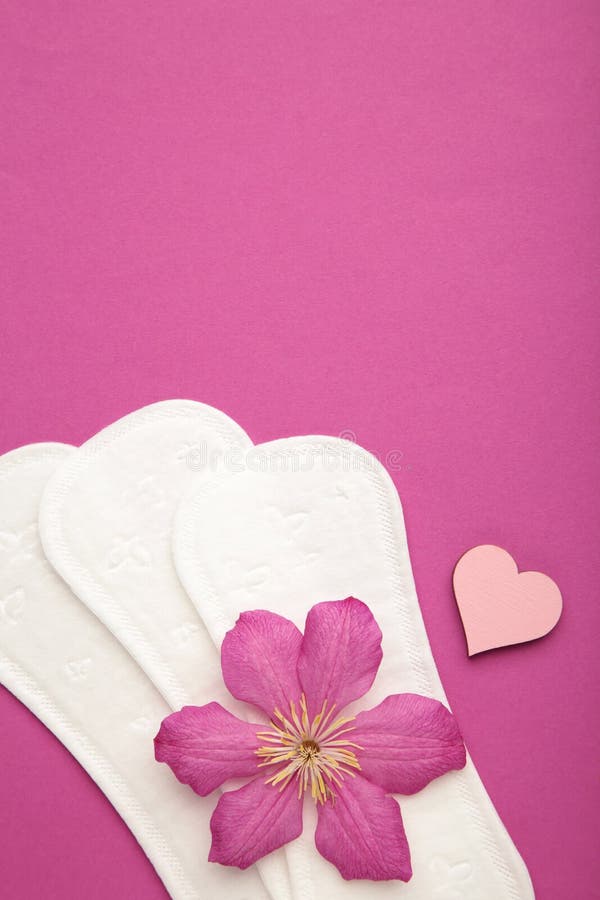 Protezione dell'igiene degli assorbenti bianchi su fondo viola. ciclo mestruale ginecologico. un fiore di rosa giace su un mestrua
