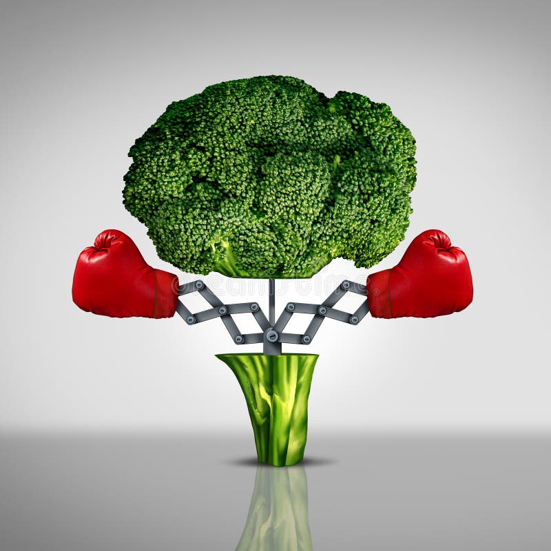 Superfood protection health care concept and cancer disease fighting food symbol as a healthy natural nutrition icon with red boxing gloves emerging out of an open broccoli vegetable as a fitness diet metaphor. Superfood protection health care concept and cancer disease fighting food symbol as a healthy natural nutrition icon with red boxing gloves emerging out of an open broccoli vegetable as a fitness diet metaphor.