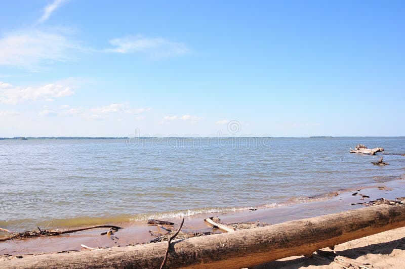 Protokolle eines gedumpter Baum auf dem sandigen Ufer von einem großen See an einem sonnigen Tag des Sommers. Nowosibirsk-Reservoi lizenzfreie stockfotos