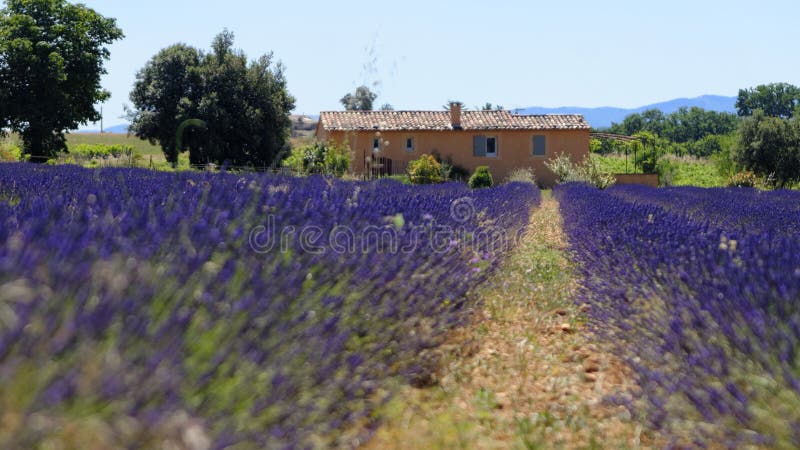 Provence