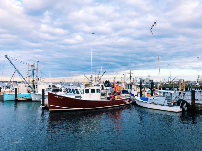 Provincetown Harbor Boats at the Pier Photography - Image of nautical, cape: 136369192
