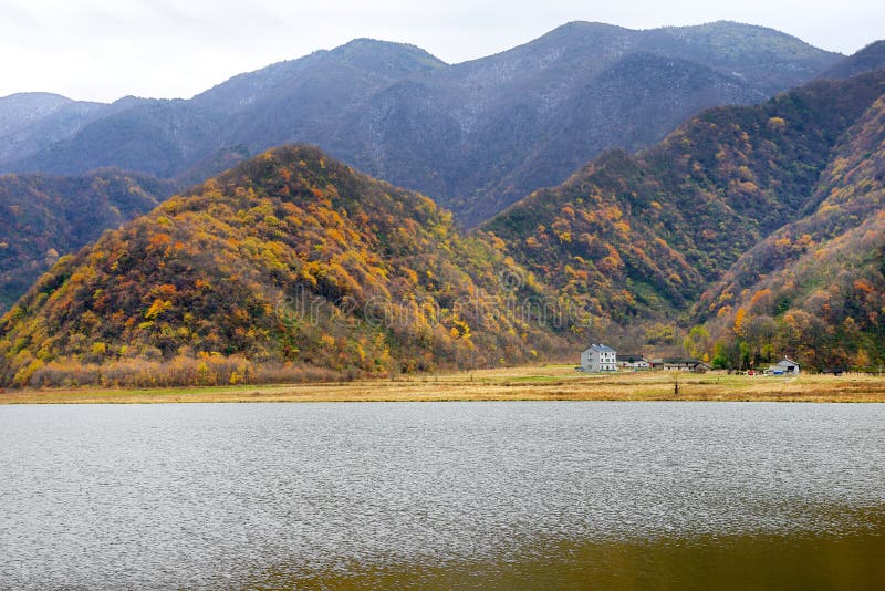 China Scenic Shennongjia, Hubei Province, here Shennong Valley Nature Reserve.Scenic Dajiuhu. China Scenic Shennongjia, Hubei Province, here Shennong Valley Nature Reserve.Scenic Dajiuhu.