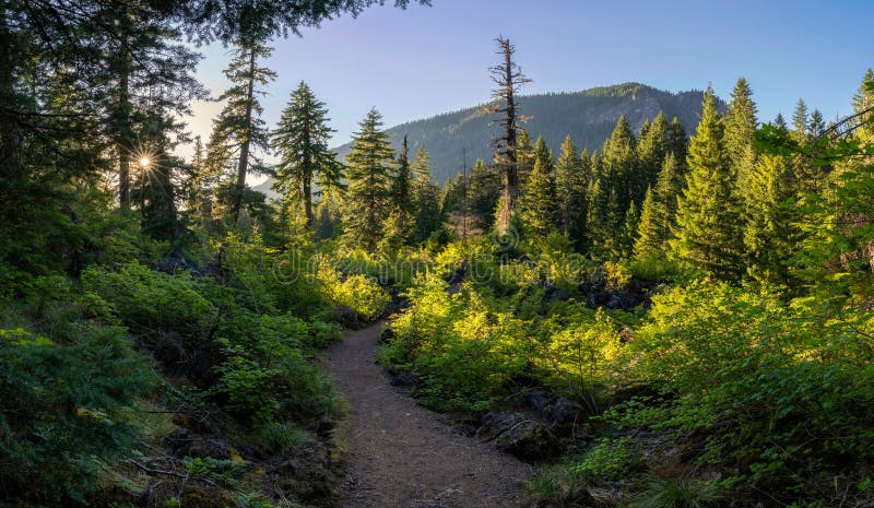 Proxy Falls Trail img