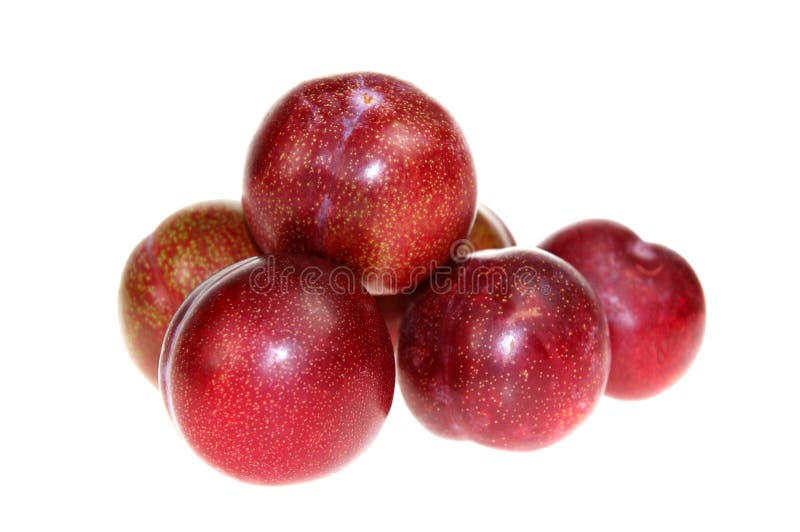 Prugne rosse immagine stock libera da diritti Prugne rosse immagine stock libera da diritti