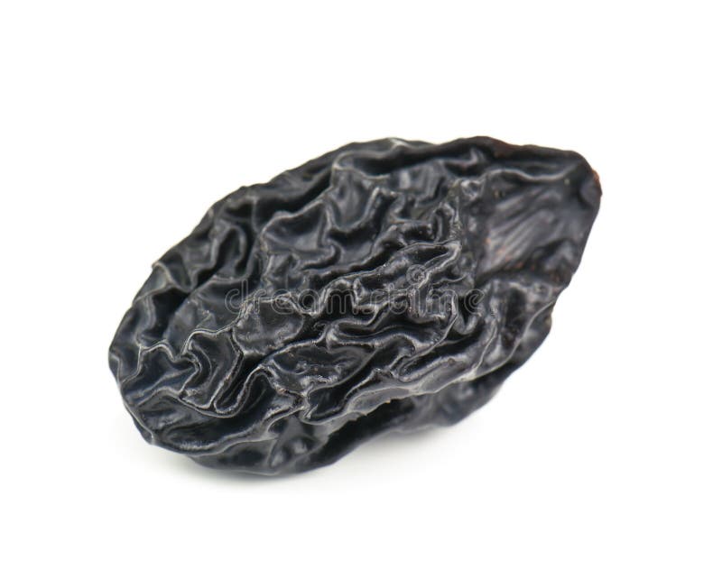 prune download prune download