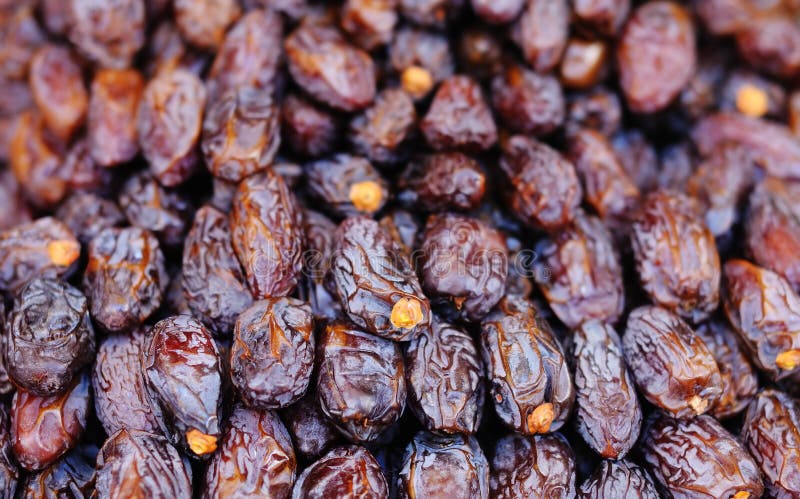 prunes tree download prunes tree download