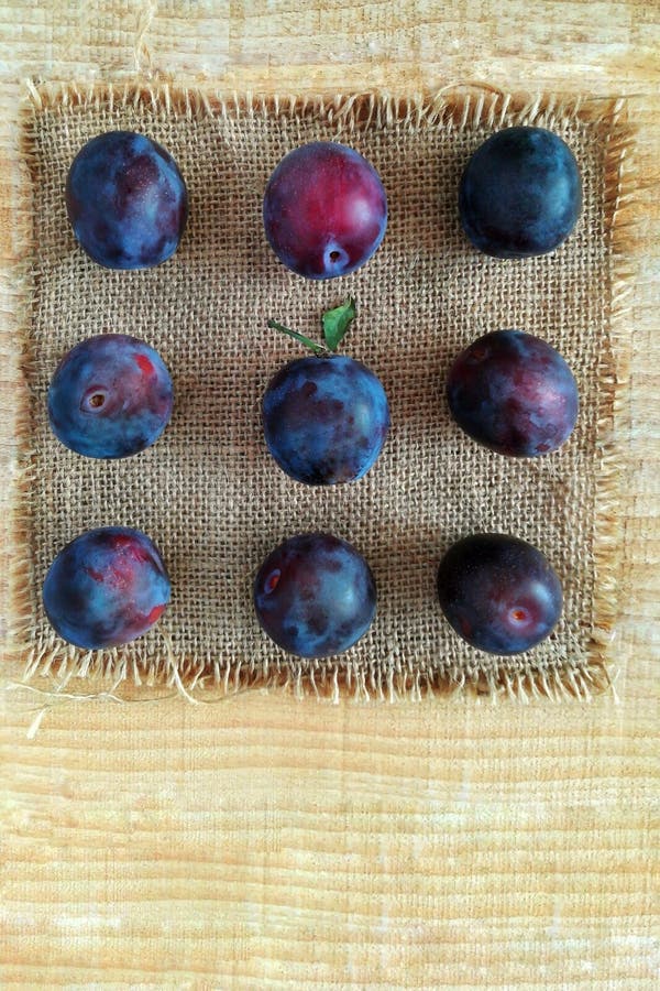Prunes mûres sur une serviette photos libres de droits Prunes mûres sur une serviette photos libres de droits