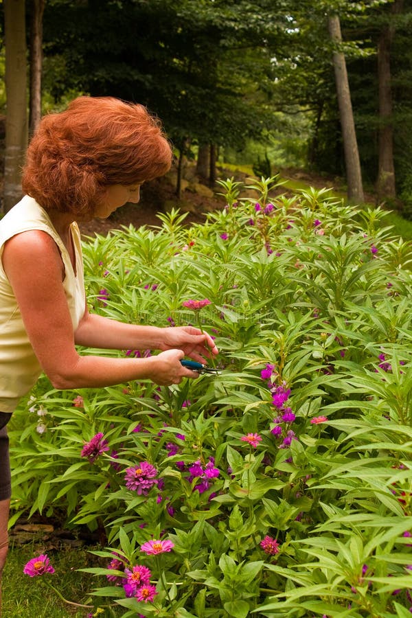 Pruning Flowers